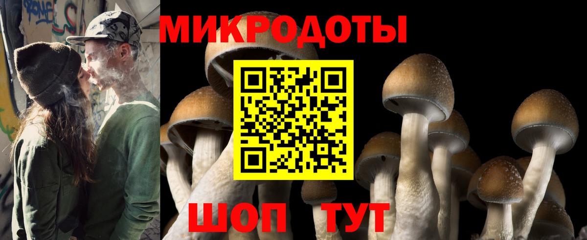 Галлюциногенные грибы прущие грибы  Вход с VPN  Асино 